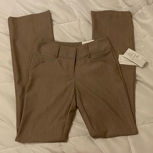 Juniors Joe B Dress Pants